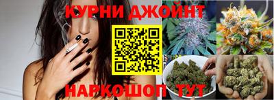 шишки Кингисепп