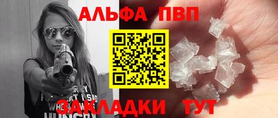 шишки Кингисепп