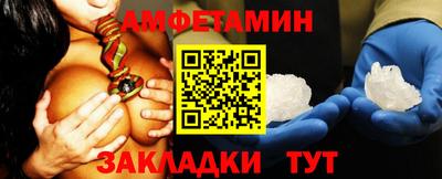 шишки Кингисепп
