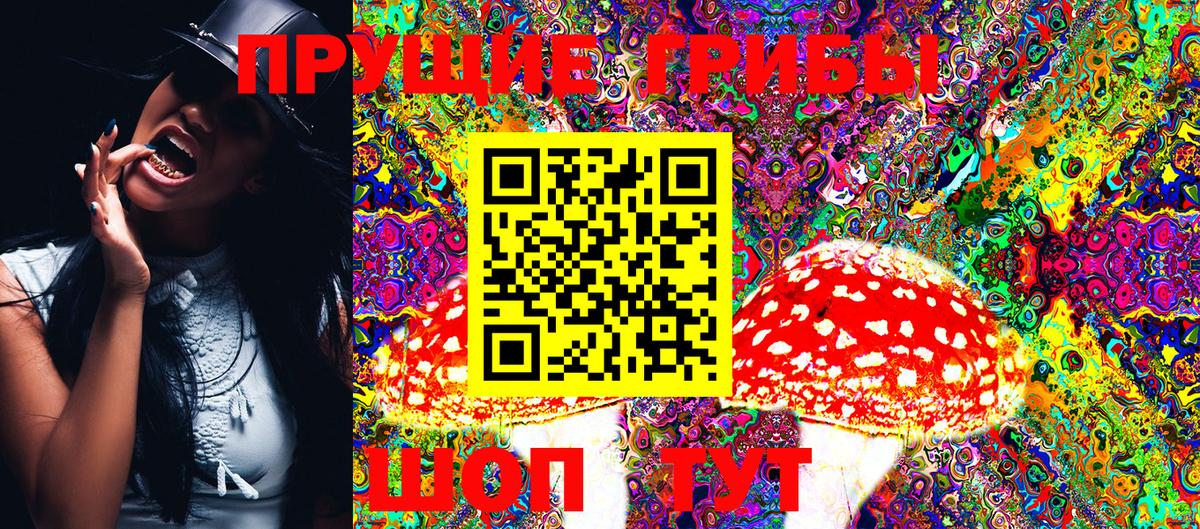 купить закладку  Вход с VPN  Волхов  Псилоцибиновые грибы Magic Shrooms 